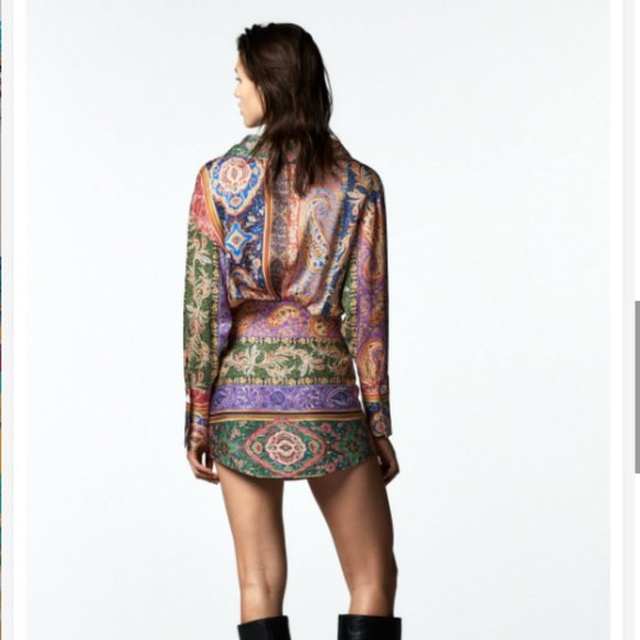 ZARA | Printed Mino Skirt - Picture 4 of 9